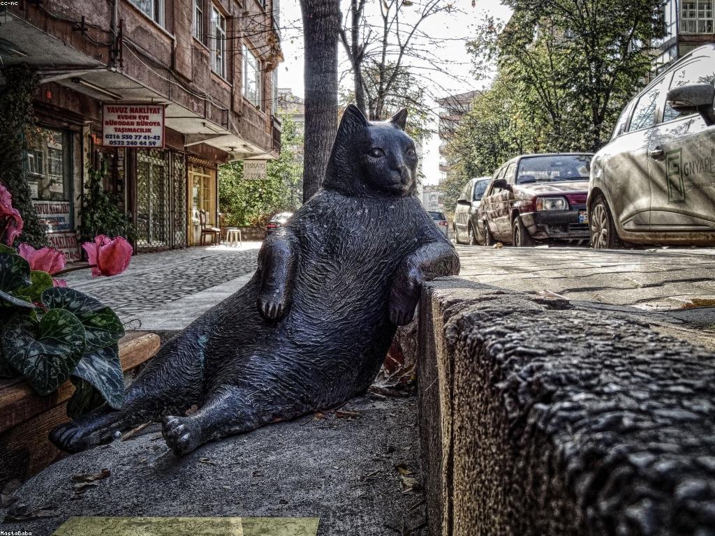 ข่าวสาร TH77: อัปเดตและข้อมูลล่าสุด