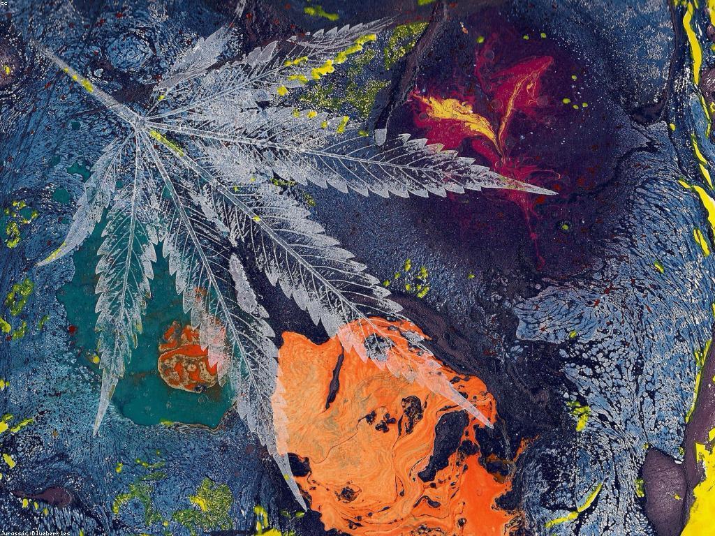 โปรโมชั่นพิเศษสำหรับสมาชิก VIP เท่านั้น